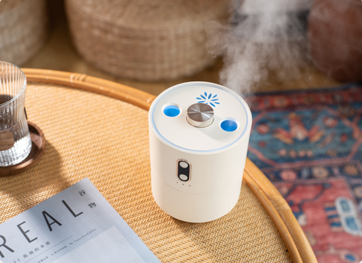 Volcanic Mist Diffuser